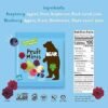 BEAR Real Fruit Snack Minis
